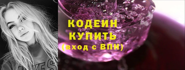 гидра Горнозаводск