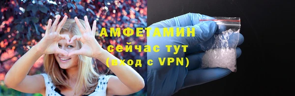 гидра Горнозаводск