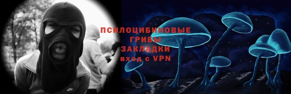 гидра Горнозаводск