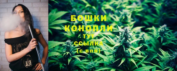 гидра Горнозаводск