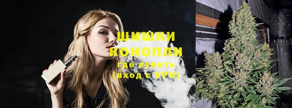 гидра Горнозаводск
