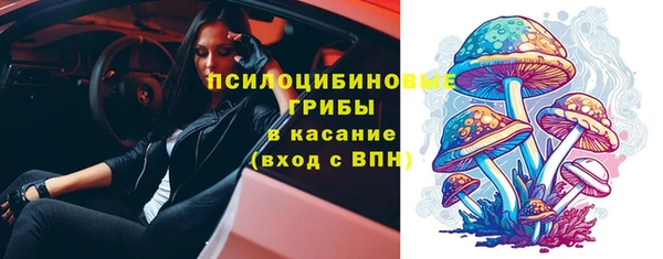 гидра Саяногорск