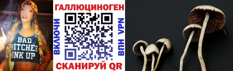 Псилоцибиновые грибы Magic Shrooms  Купить где  Княгинино 