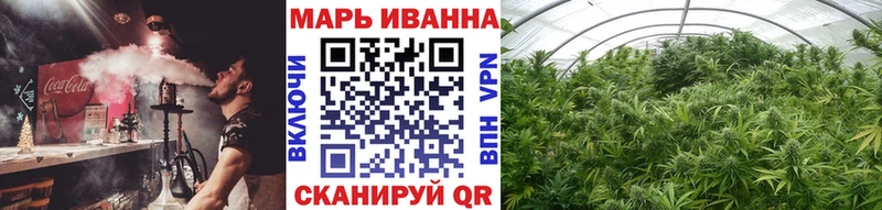 Купить закладки  Княгинино  Конопля гибрид 